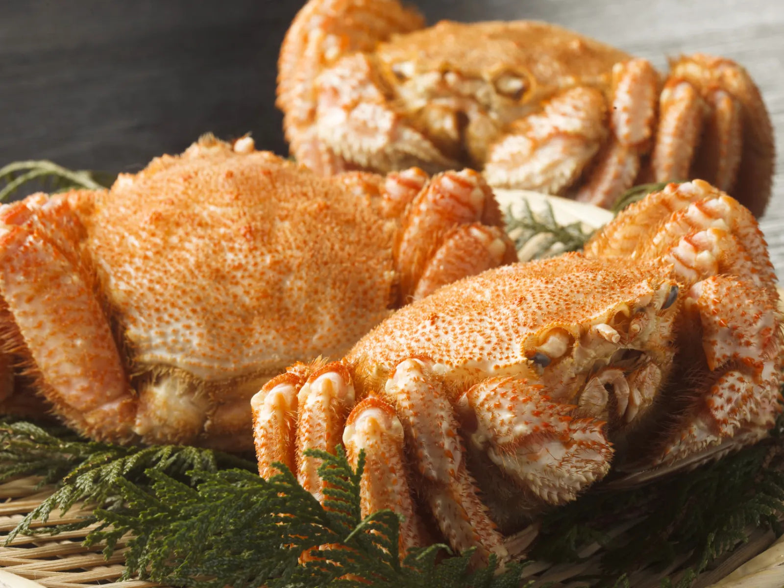 北海道産 毛がに【まとめ買いでお得】中・大サイズ選択可 | mk.いなだ 北海道産 毛がに【まとめ買いでお得】中・大サイズ選択可 | mk.いなだ