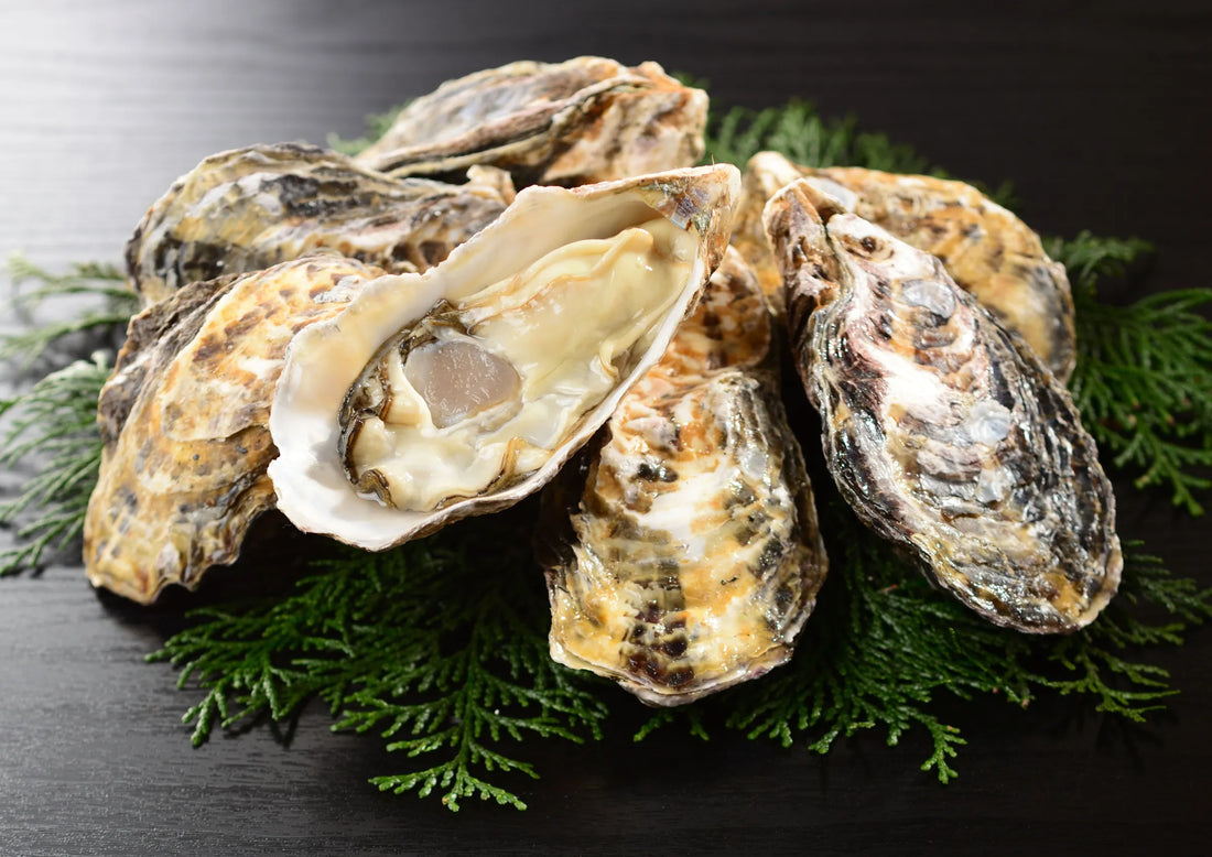 サロマ湖の旬をお届けします ― 今シーズン第1回「牡蠣セール」開催！